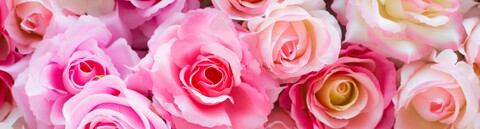 pink-rose leaked gallery photo 2