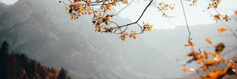 rositamilk leaked gallery photo 2