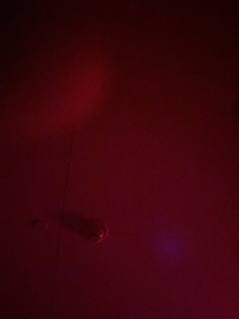 thebearjew129224 leaked gallery photo 2